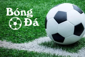 Tìm Hiểu Quy Định Bóng Trong Cuộc Và Bóng Ngoài Cuộc Mới Nhất