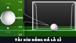 Cách Soi Kèo Tài Xỉu Bóng Đá Để Đạt Tỷ Lệ Thắng Cao Nhất