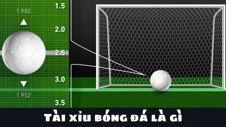 Cách Soi Kèo Tài Xỉu Bóng Đá Để Đạt Tỷ Lệ Thắng Cao Nhất