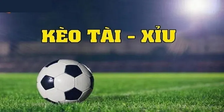 Bí Quyết Chinh Phục Kèo Tài Xỉu Hiệp 2 Thành Công Rực Rỡ