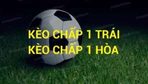 Hướng Dẫn Cách Chơi Và Bí Quyết Thắng Kèo Chấp 1 Hiệu Quả Nhất