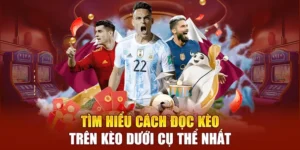 Hướng Dẫn Phân Biệt Và So Sánh Kèo Trên Kèo Dưới Chi Tiết Nhất