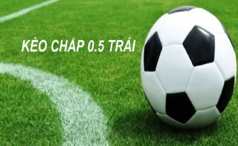 Hướng Dẫn Phân Tích Và Lựa Chọn Kèo Chấp 0.5 Hiệu Quả