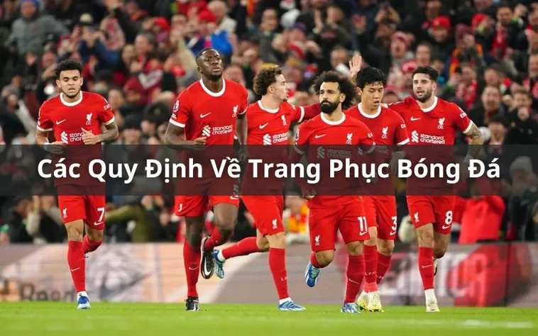 Hướng Dẫn Những Quy Định Về Trang Phục Bóng Đá Chuyên Nghiệp