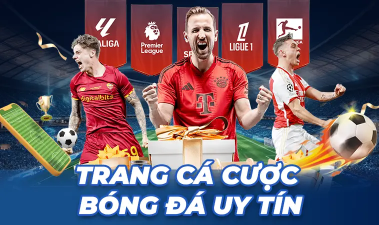 Bật Mí Top12+ Trang Cá Cược Bóng Đá Uy Tín Và An Toàn Nhất VN